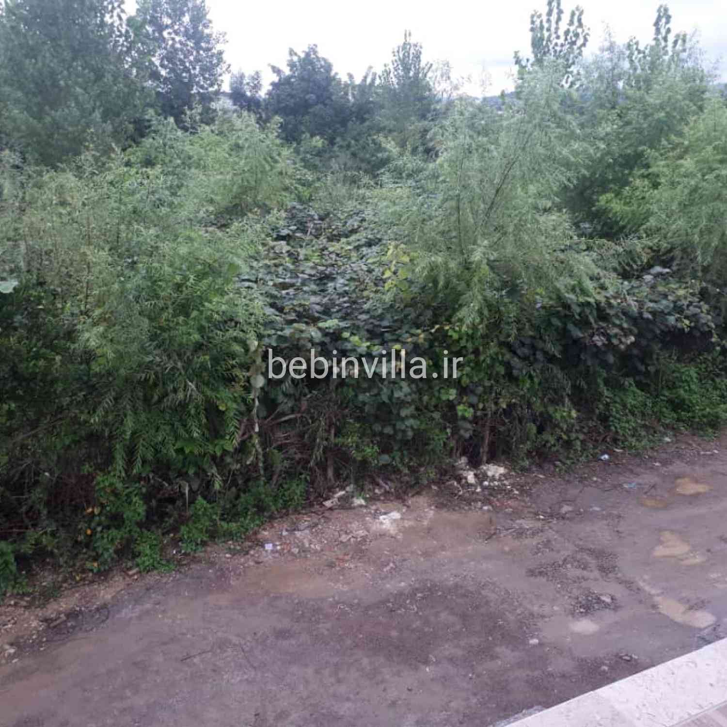 اجاره ویلا استخردار ارزان در چالوس